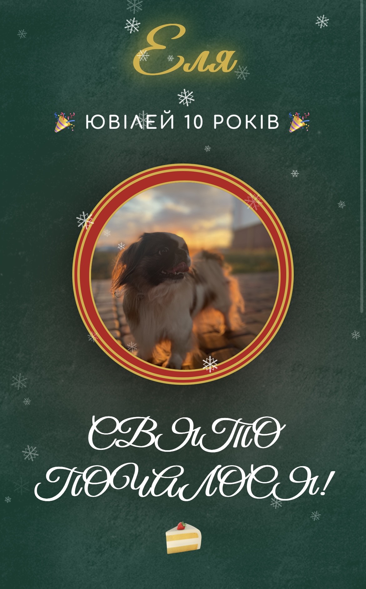 Elia Dog Project